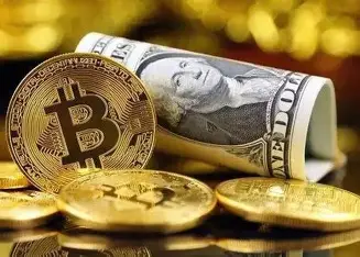 币游·国际(中国)最新官方网站